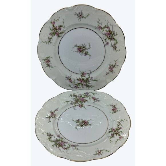 2 Theodore Haviland New York Rosalinde Dinner Plates France 10 1/2" - Picture 1 of 7